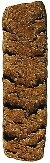 AL-KO-TE Allco Kaustange | 10kg Hundekuchen, Hundesnack