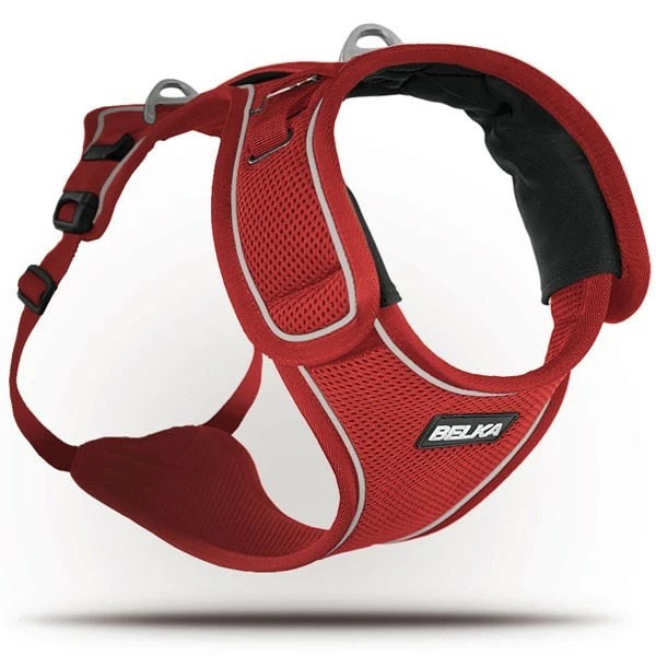 Curli Belka Geschirr Rot M 1 Curli Belka Geschirr Rot M