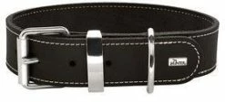 Hunter Aalborg Special Schwarz 55 M | 40-48 Cm Hundehalsband