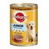 Pedigree Junior Geflügel & Reis | 12x 400g Welpenfutter Nass