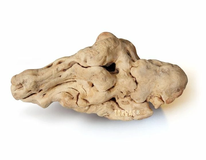 Torgas Kauwurzel Größe: M - Kauwurzel Für Hunde Zur Zahnpflege Ohne Splitter 1 Torgas Kauwurzel Größe: M - Kauwurzel Für Hunde Zur Zahnpflege Ohne Splitter